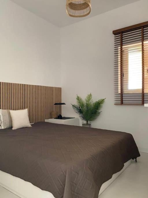 The Palm Apartment Karpathos Екстер'єр фото